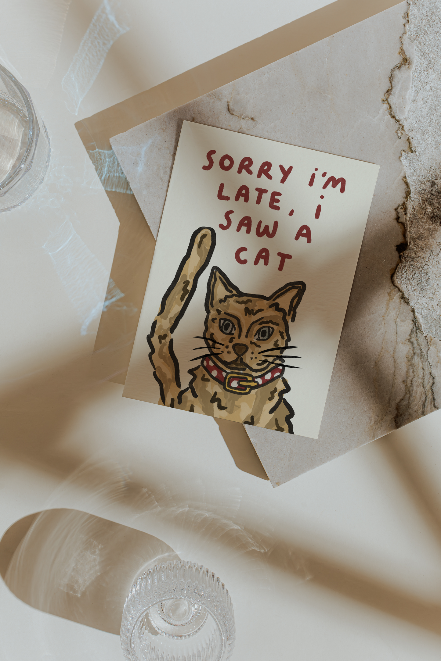 Sorry I'm Late - I Saw A Cat